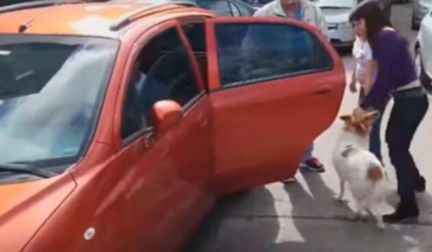 mujerperroabandonado.jpg