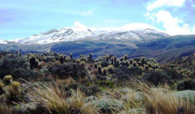 nevado.jpg