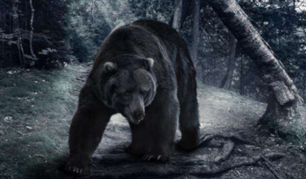 oso2.jpg