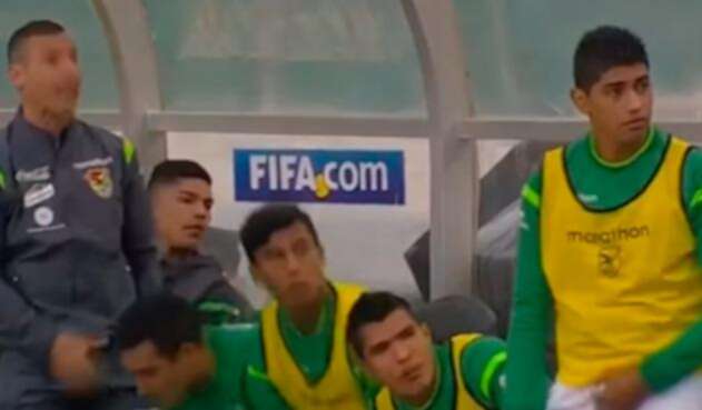 pajaroescobarchilebolivia1.jpg
