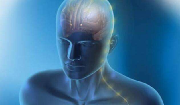 parkinsonreferencia1.jpg