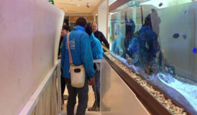 peces1.jpg