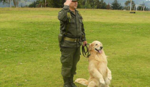 perro4.jpg
