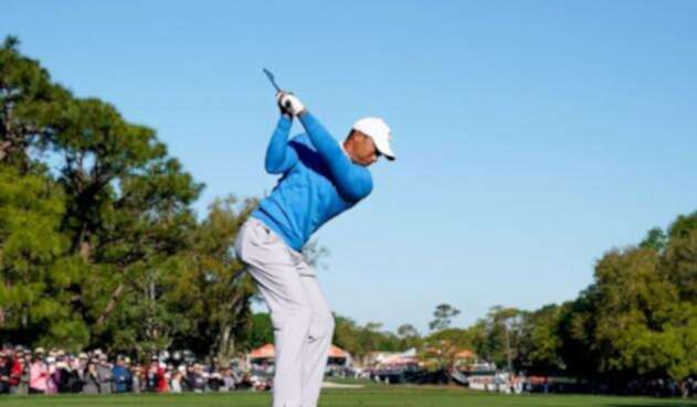 tiger.jpg