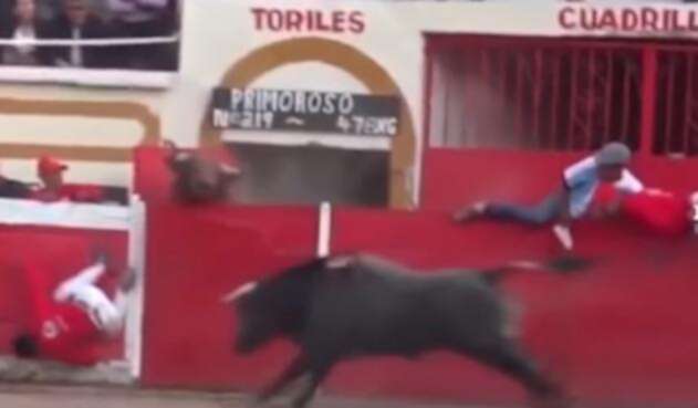 torovideo.jpg