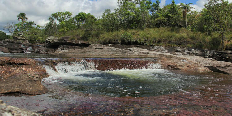 Caño cristales Caño cristales