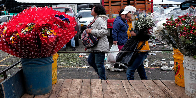 Bogotá, en medio de la conmemoración del Día de la Madre Bogotá, en medio de la conmemoración del Día de la Madre
