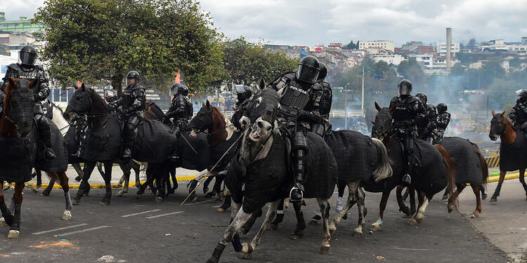 Fuerzas del orden en Quito, ante la alteración del orden público