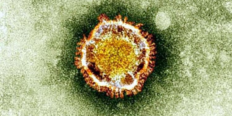 Coronavirus