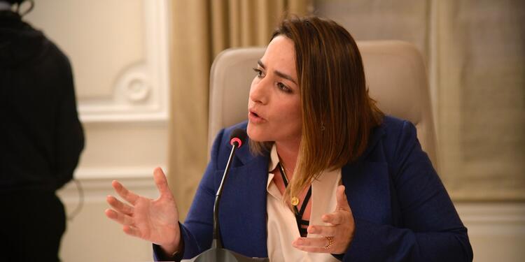 Lina Arbeláez, directora del ICBF