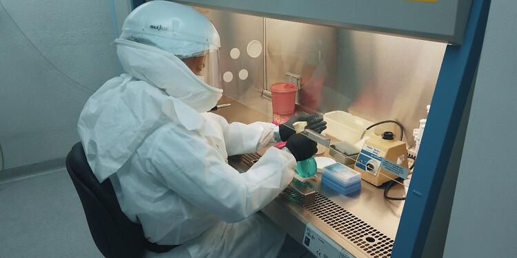 Laboratorio.