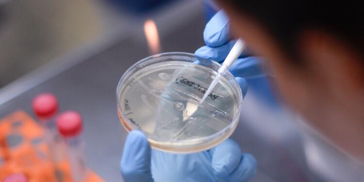 Referencia coronavirus.