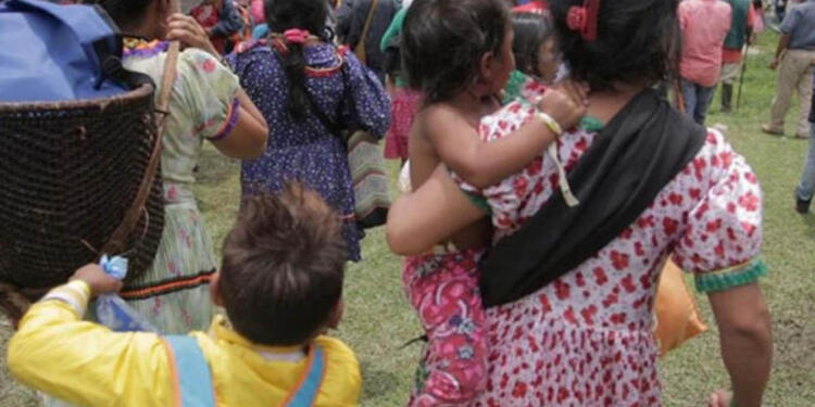Violencia contra indígenas Violencia contra indígenas
