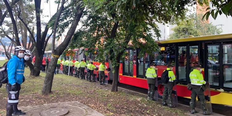 Tala de árboles en Suba genera protestas de ambientalistas