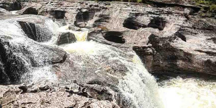 caño cristales en colombia