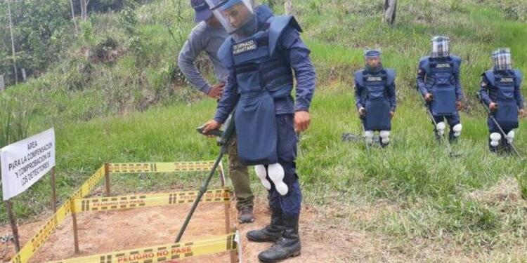 Desminado-LAFM-Suministrada.jpg