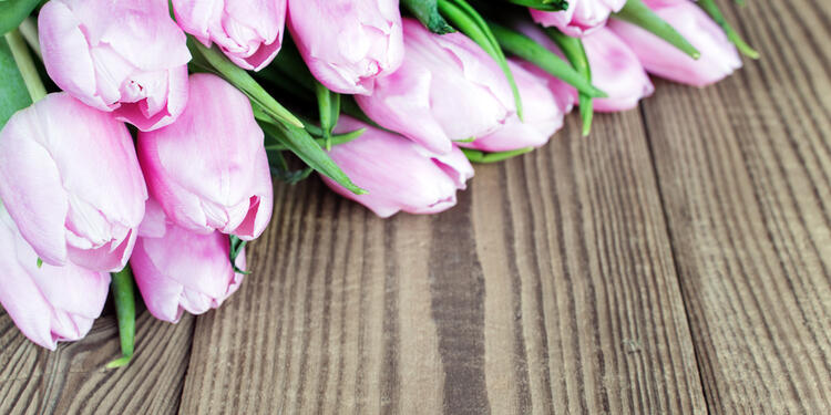 Flores-Ingimage.jpg