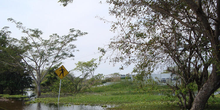 cambio-climatico-y-salud-Universidad-El-Bosque.jpg