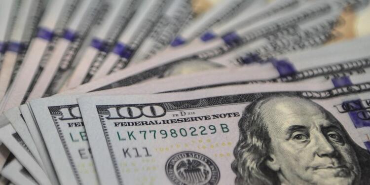 dolar-ilustracion-afp6-914x607.jpg