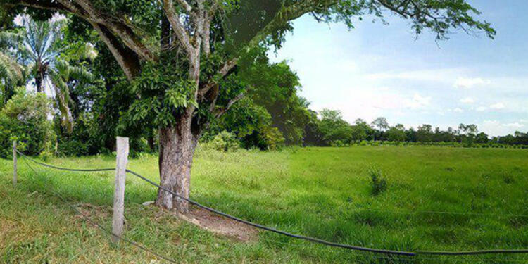 Foto de la Unidad de Restitución de Tierras tierras1.jpg