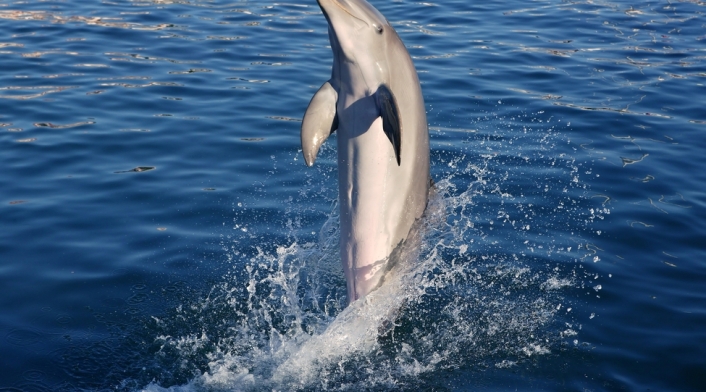 02B45739.jpg