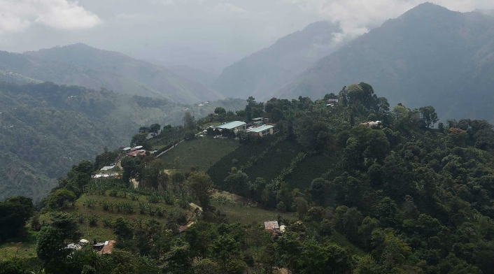 Tolima 170211_09_ChaparralTolima_1800.jpg