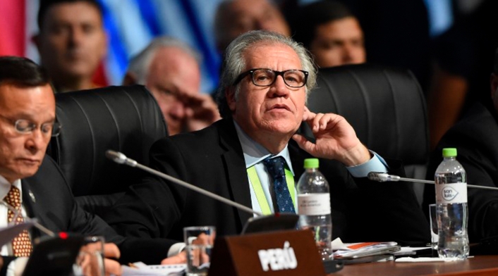 Luis Almagro, secretario general de la OEA / AFP Luis Almagro, secretario general de la OEA / AFP