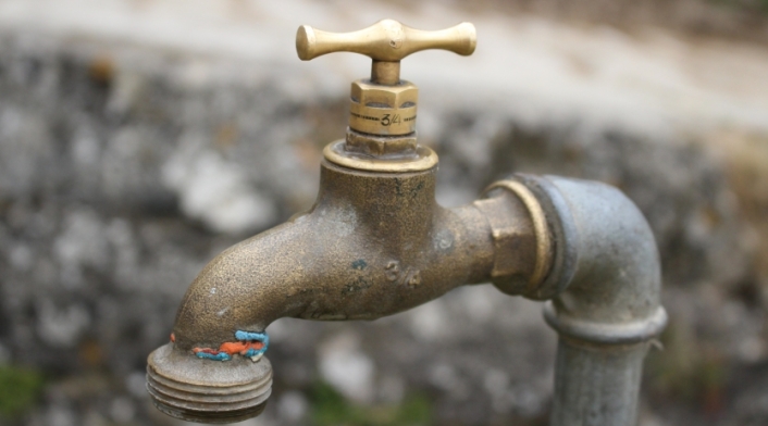 Grifo de Agua