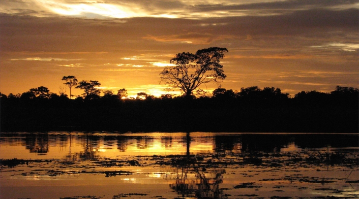 La Reserva Natural Irapai, ubicada en el municipio de Puerto Alegría sobre el Río Amazonas, a 25 kilómetros de Leticia