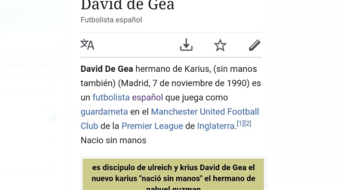 Descripción de David De Gea en Wikipedia tras error con España