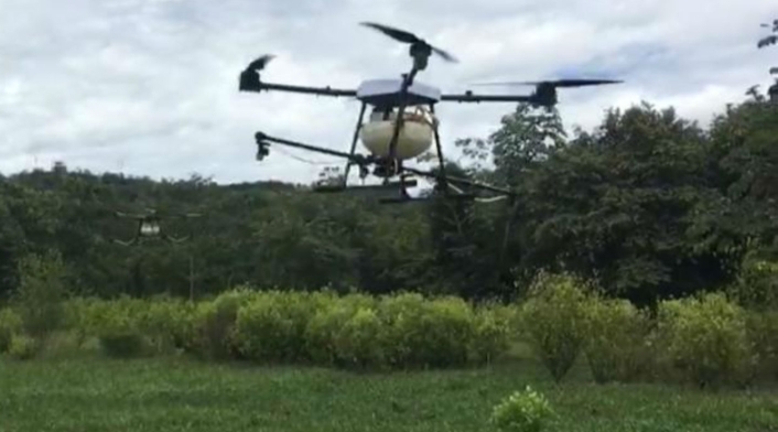 Con drones será la fumigación de cultivos ilícitos Con drones será la fumigación de cultivos ilícitos