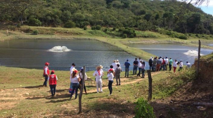 Excombatientes de las Farc Excombatientes de las Farc