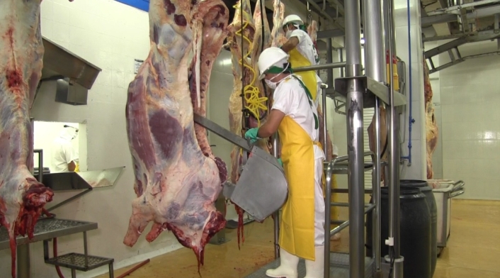 Tratamiento de la carne