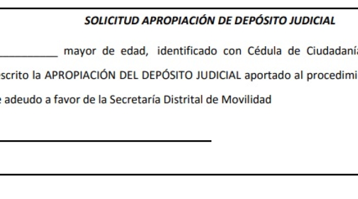 Apropiación de depósito judicial