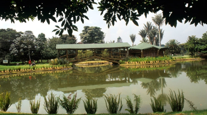 Jardín Botánico, uno de los planes de fin de semana Jardín Botánico, uno de los planes de fin de semana