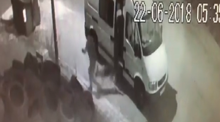 Perro abandonado en medio de la calle