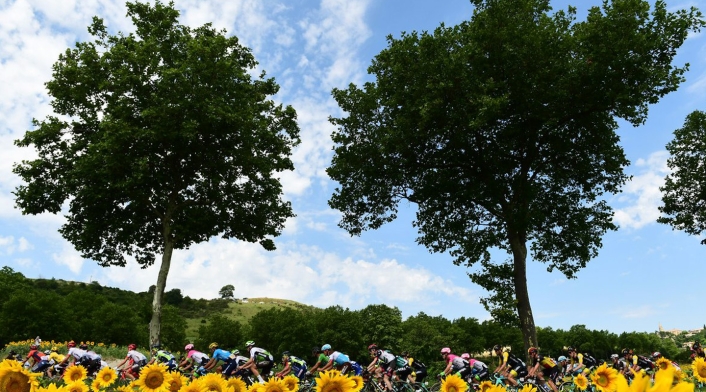 Los ciclistas en el Tour de Francia