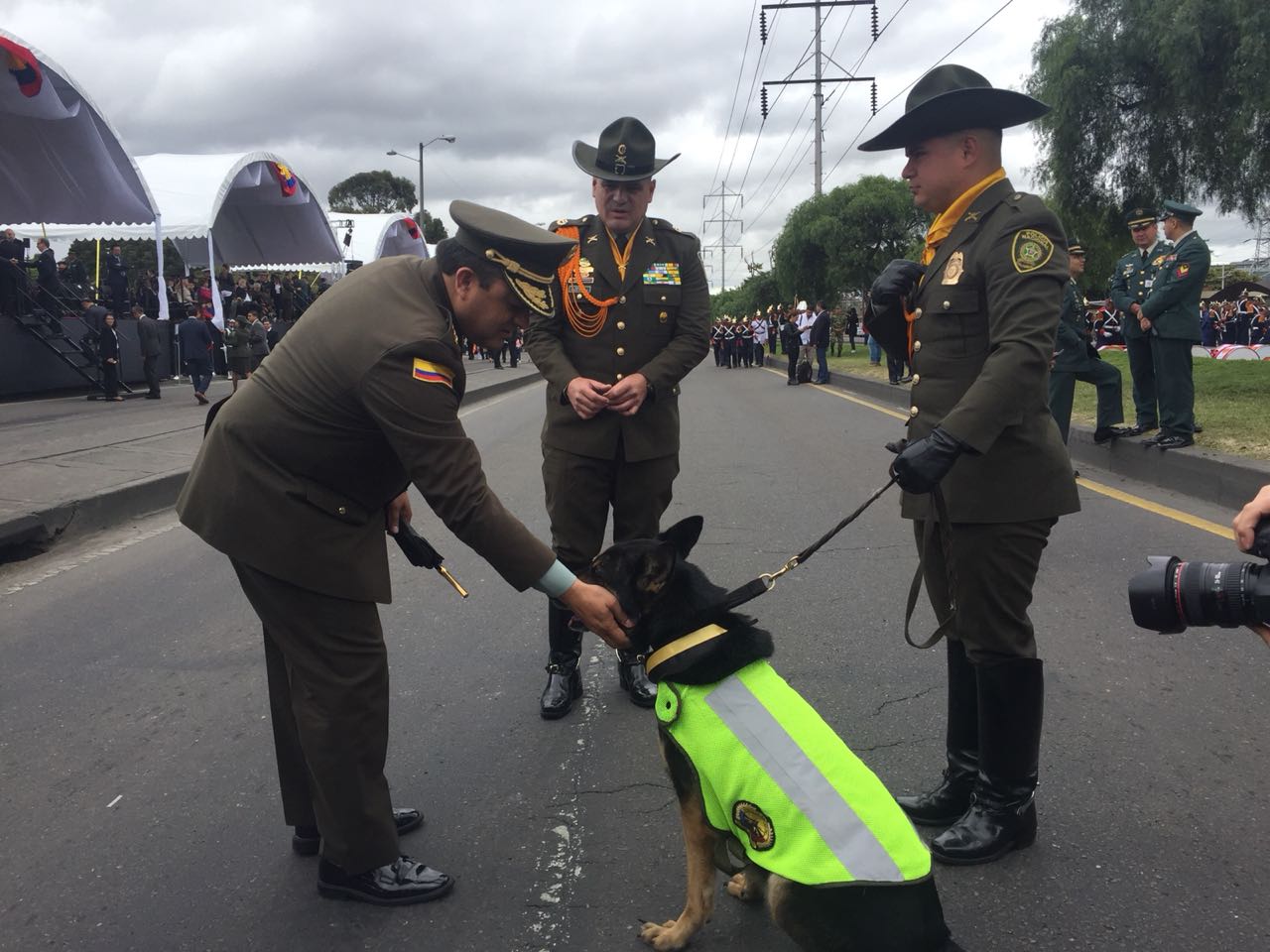 Sombra, el canino que ahora es el terror de los narcos