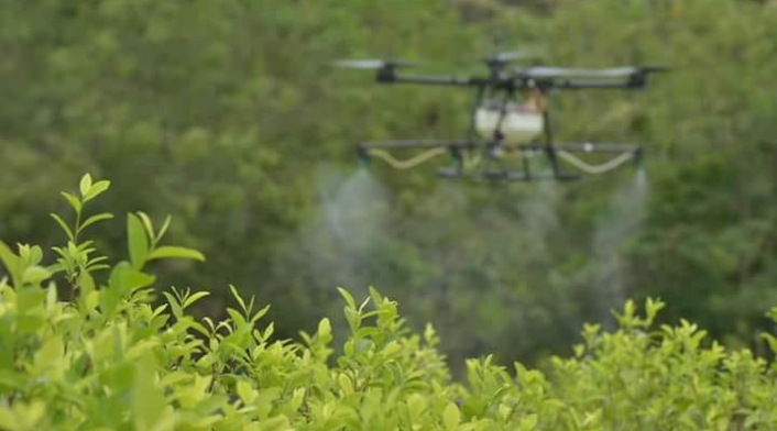 Dron para aspersión de cultivos ilícitos