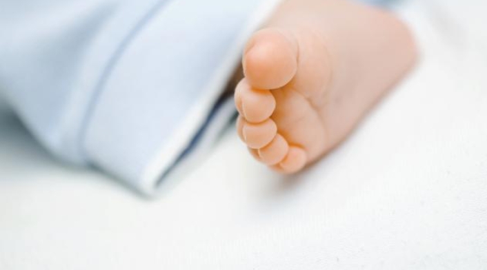 Bebé recién nacido Bebé recién nacido