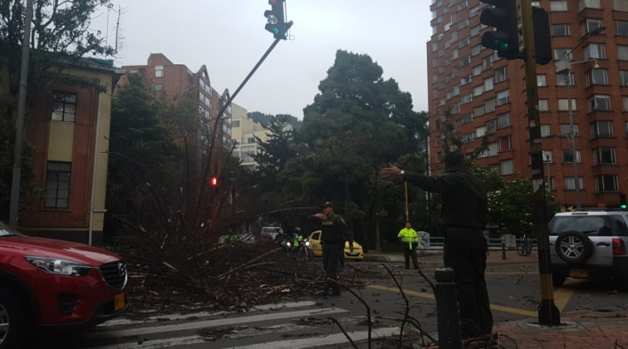 Árbol caído en Bogotá