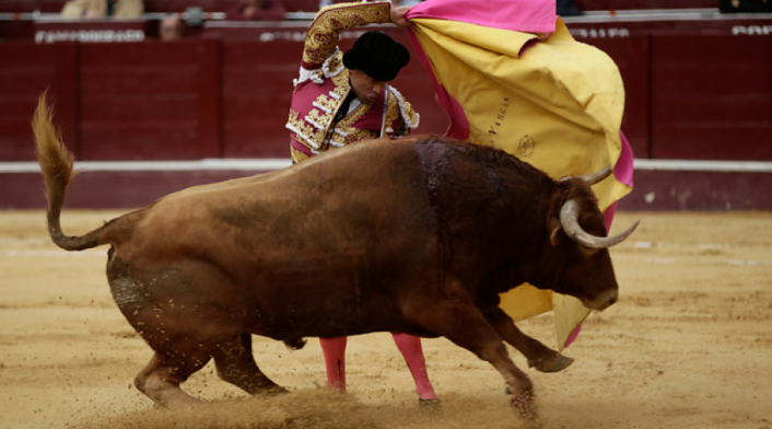 Corrida de toros