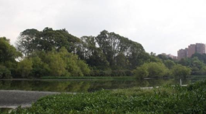 Humedales de Bogotá