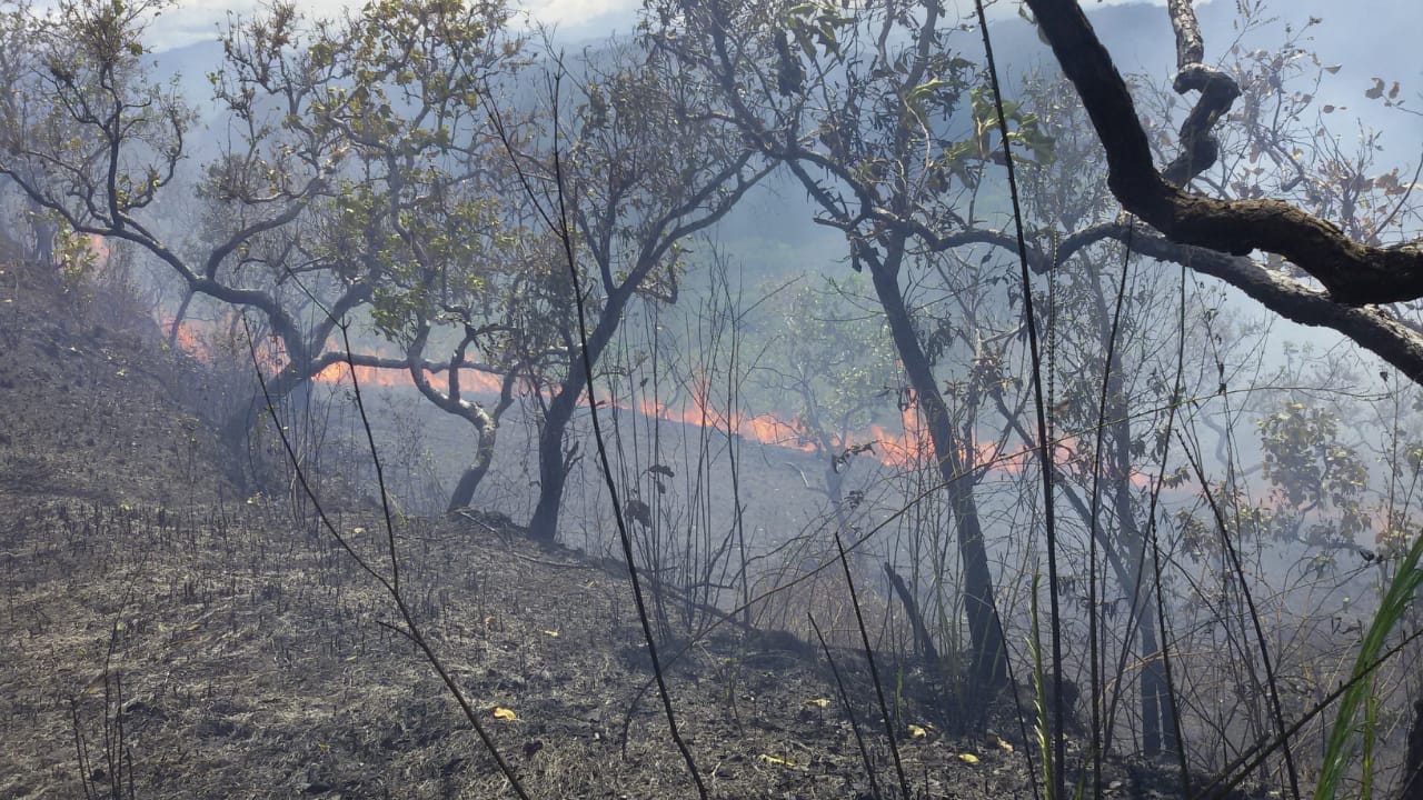 Incendio
