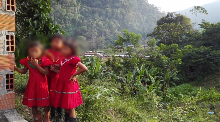 Niños Indígenas