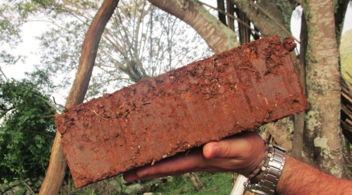 Ladrillo de tierra