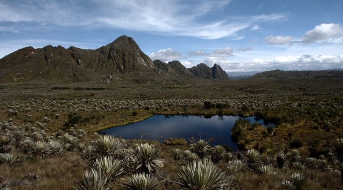 Páramo de Sumapaz