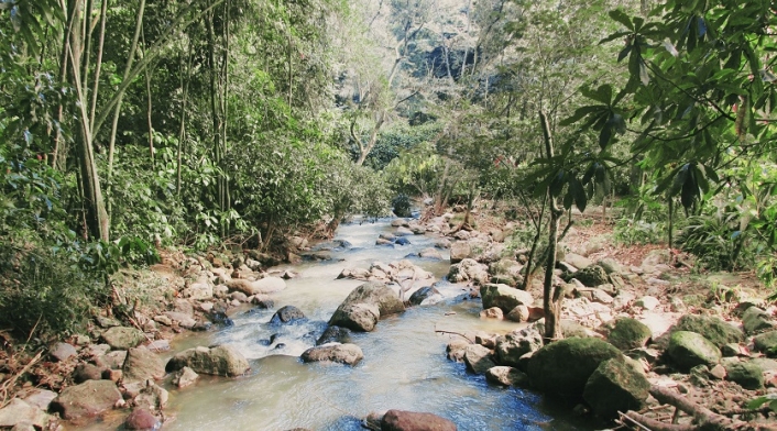 Parque Natural el Gallineral