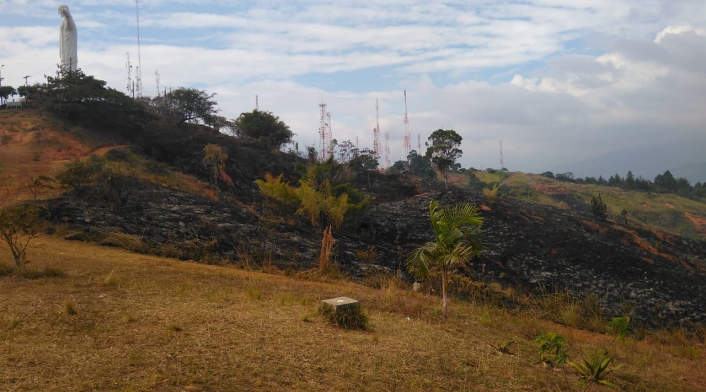 Incendio forestal en Cristo Rey
