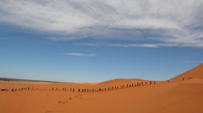 Desierto